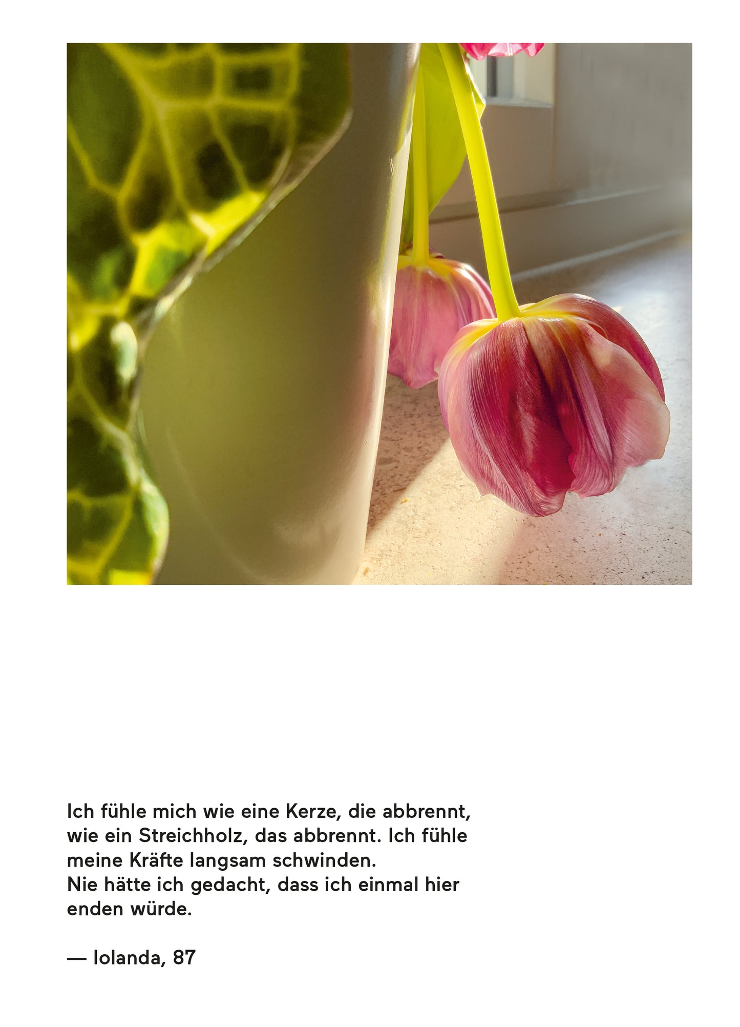 Lebensbilder